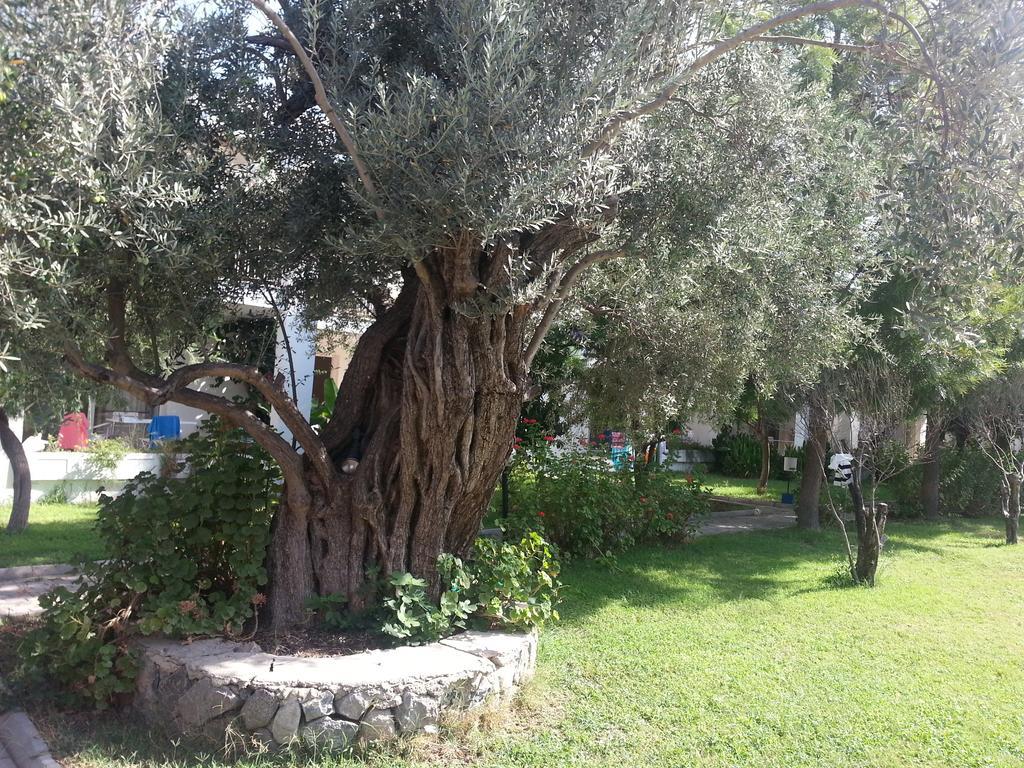 Muskebi Apart Otel Ortakent Buitenkant foto